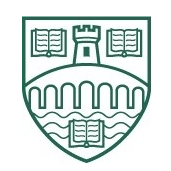 圣灵大学队徽